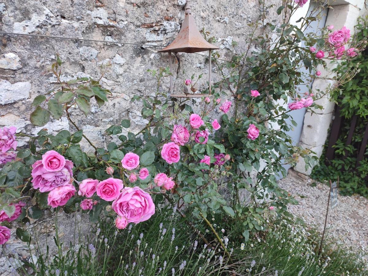 Вилла Au Jardin De La Marquetterie Cigogne Экстерьер фото